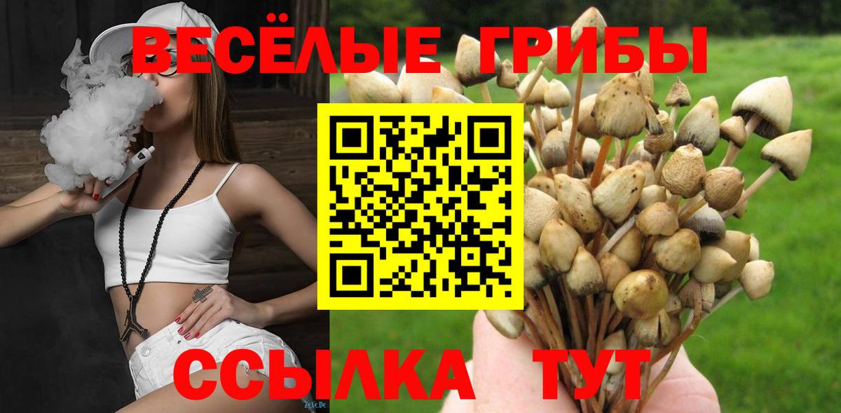 Псилоцибиновые грибы мицелий  Вход с VPN  купить наркотики цена  Мценск 
