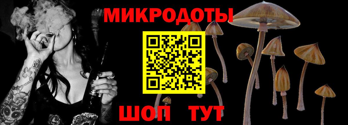 Псилоцибиновые грибы Magic Shrooms Мценск